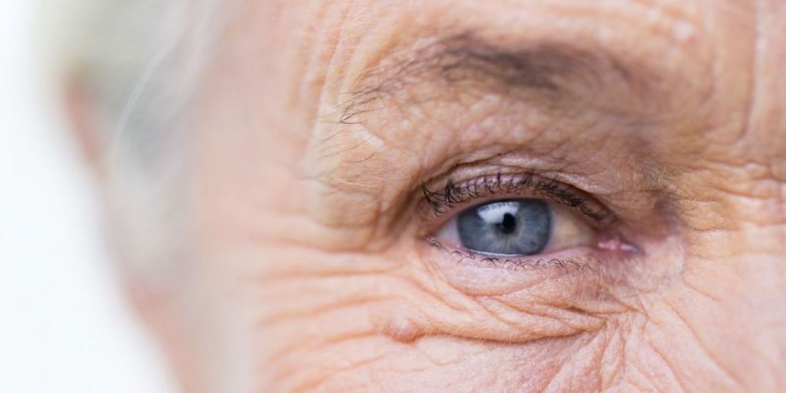 Pension de réversion : un décret précise les conditions de calcul et de versement de la pension en cas de pluralité de conjoints survivants et divorcés