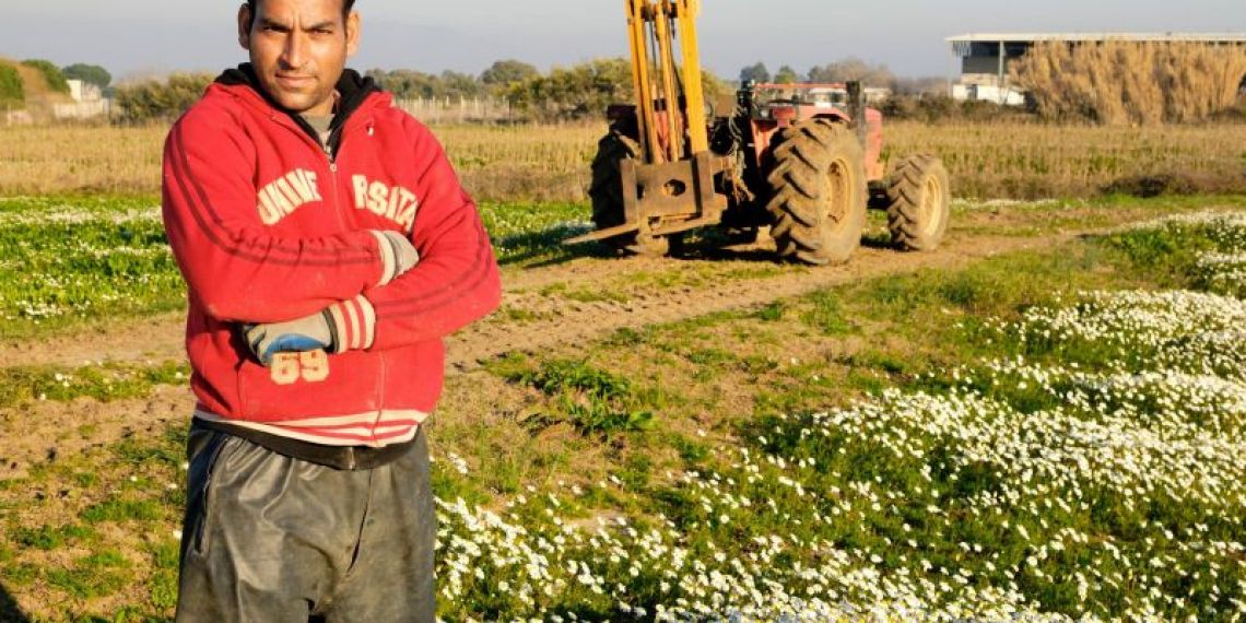 Actualisation de la liste des métiers en tension : un nouvel arrêté facilite l’emploi de travailleurs étrangers