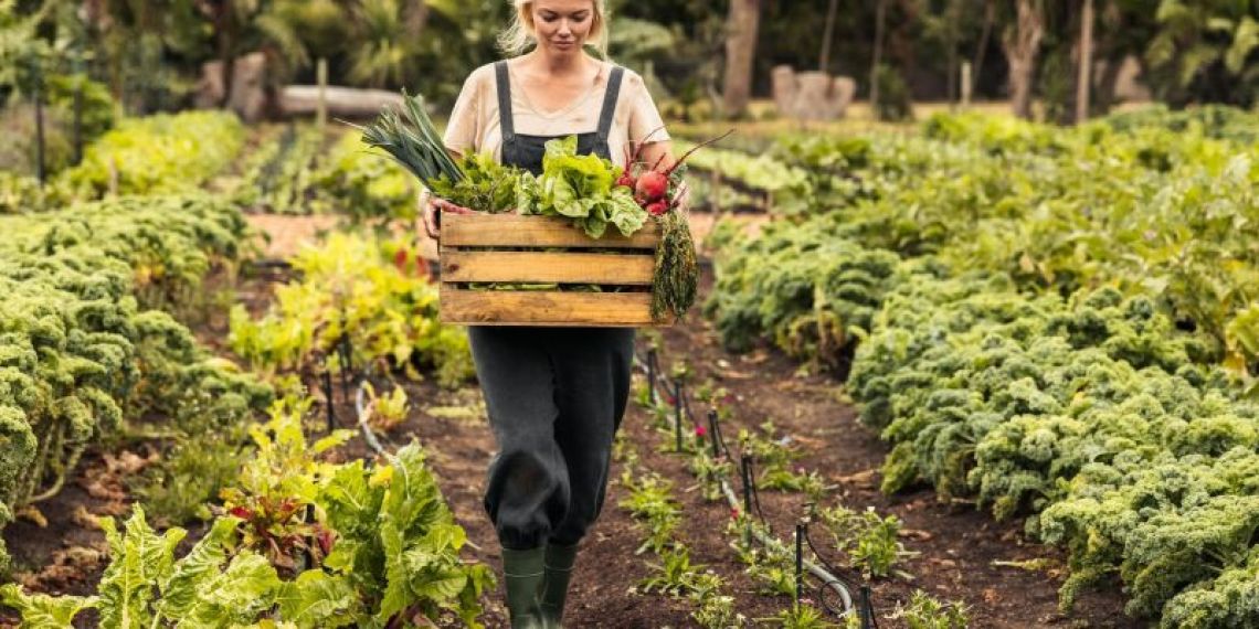 Agriculteurs : le capital décès bientôt étendu aux accidents professionnels ?