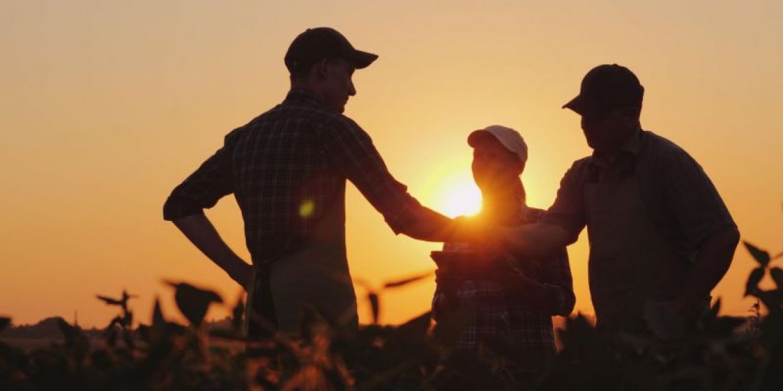 Exonération de cotisations : les jeunes agriculteurs devraient bénéficier d’un coup de pouce supplémentaire (PLFSS 2025)
